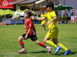 Rewe Seper Cup 2026 der E-Junioren