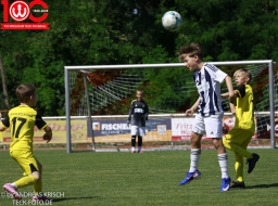 Rewe Seper Cup 2026 der E-Junioren