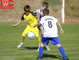 Rewe Seper Cup 2026 der E-Junioren
