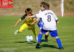 Rewe Seper Cup 2026 der E-Junioren